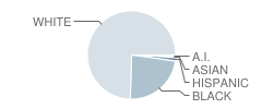 Bryan County Elementary School Student Race Distribution