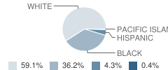 Portal Middle / High School Student Race Distribution