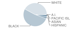 Statesboro High School Student Race Distribution