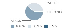 S G A Elementary School Student Race Distribution