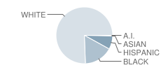 Central Middle School Student Race Distribution