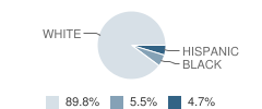 Roopville Elementary School Student Race Distribution