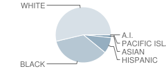 Carrollton High School Student Race Distribution