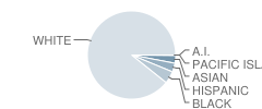 Lakeview Middle School Student Race Distribution