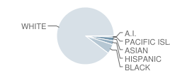 Lakeview-Fort Oglethorpe High School Student Race Distribution