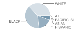 Georgetown Elementary School Student Race Distribution