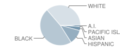 Gould Elementary School Student Race Distribution