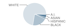 Hesse Elementary School Student Race Distribution