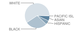 Pooler Elementary School Student Race Distribution