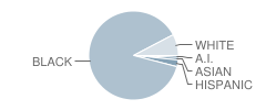 Low Elementary School Student Race Distribution