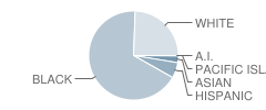 Southwest Middle School Student Race Distribution