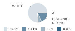 Teasley Middle School Student Race Distribution