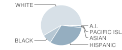 Boston Elementary School Student Race Distribution