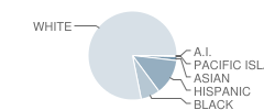 Sequoyah High School Student Race Distribution