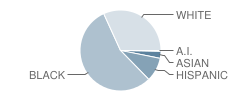 Clarke Middle School Student Race Distribution