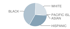 Chase Street Elementary School Student Race Distribution