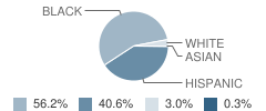 Fowler Drive Elementary School Student Race Distribution