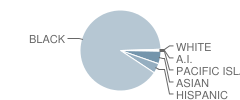 North Clayton High School Student Race Distribution