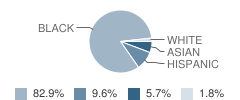 Riverdale High School Student Race Distribution