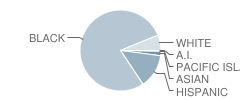 Swint Elementary School Student Race Distribution