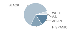 Morrow Middle School Student Race Distribution