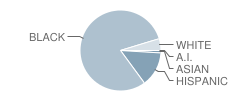 River's Edge Elementary School Student Race Distribution