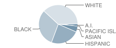 Hayes Elementary School Student Race Distribution