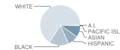 Kincaid Elementary School Student Race Distribution