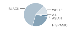 Clarkdale Elementary School Student Race Distribution