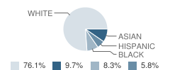 Rocky Mount Elementary School Student Race Distribution