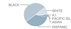 Hollydale Elementary School Student Race Distribution