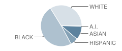 Teasley Elementary School Student Race Distribution