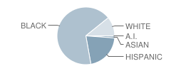 Pebblebrook High School Student Race Distribution