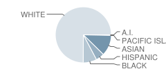 Mountain View Elementary School Student Race Distribution