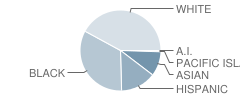 Daniell Middle School Student Race Distribution