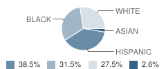 Brown Elementary School Student Race Distribution