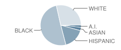 Oakwood High School Student Race Distribution