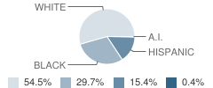 Broxton-Mary Hayes Elementary School Student Race Distribution