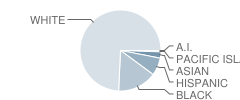 Evans High School Student Race Distribution