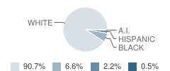 North Columbia Elementary School Student Race Distribution