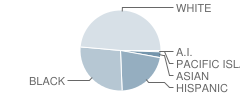 Grovetown Elementary School Student Race Distribution