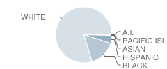 Harlem Middle School Student Race Distribution