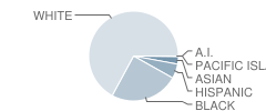 Brookwood Elementary School Student Race Distribution