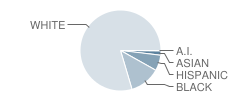 Greenbrier Middle School Student Race Distribution