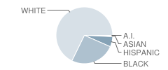 Evans Middle School Student Race Distribution