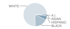 Arnco-Sargent Elementary School Student Race Distribution