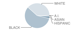 Crisp County Middle School Student Race Distribution