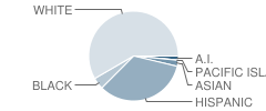 Westwood Elementary School Student Race Distribution