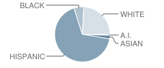 Dalton Middle School Student Race Distribution