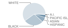 Winnona Park Elementary School Student Race Distribution